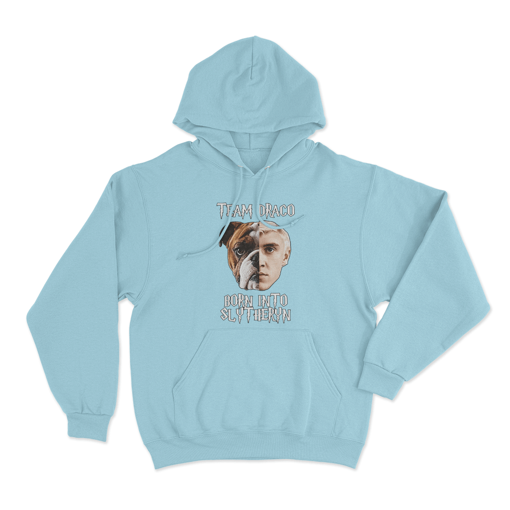 Team Draco Born Into Slytherin Unisex Hoodie Sky Blue Team Draco Born Into Slytherin Unisex Hoodie Sky Blue